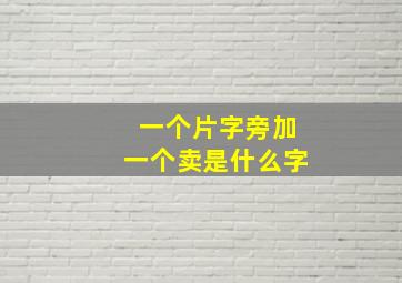 一个片字旁加一个卖是什么字