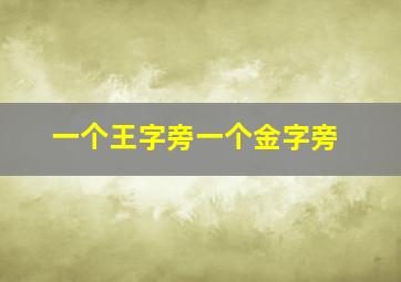 一个王字旁一个金字旁