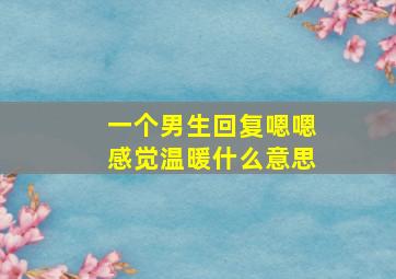 一个男生回复嗯嗯感觉温暖什么意思