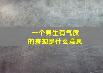 一个男生有气质的表现是什么意思