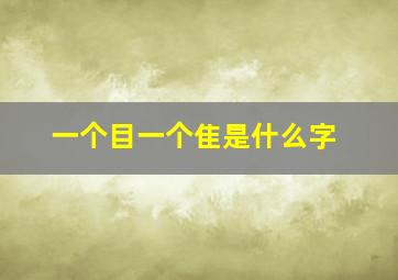 一个目一个隹是什么字