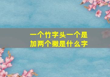 一个竹字头一个是加两个撇是什么字