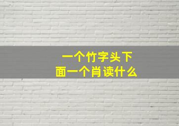 一个竹字头下面一个肖读什么