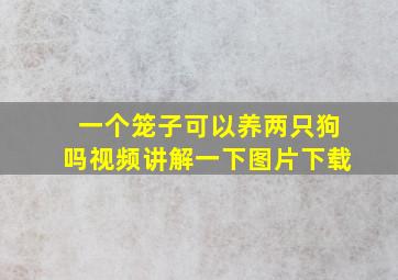 一个笼子可以养两只狗吗视频讲解一下图片下载