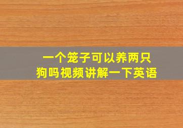 一个笼子可以养两只狗吗视频讲解一下英语