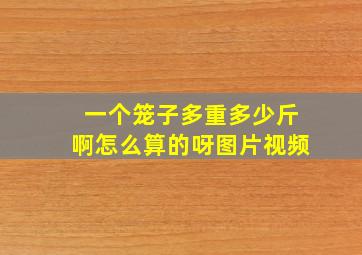 一个笼子多重多少斤啊怎么算的呀图片视频