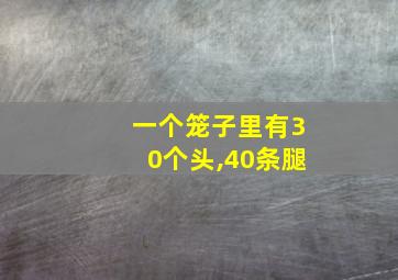 一个笼子里有30个头,40条腿