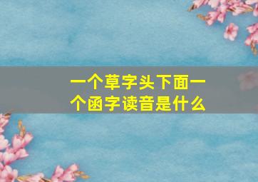 一个草字头下面一个函字读音是什么