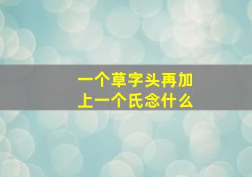 一个草字头再加上一个氏念什么