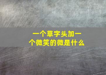 一个草字头加一个微笑的微是什么