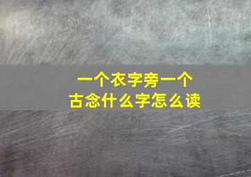 一个衣字旁一个古念什么字怎么读