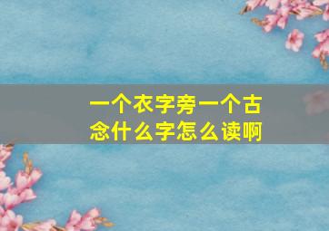 一个衣字旁一个古念什么字怎么读啊