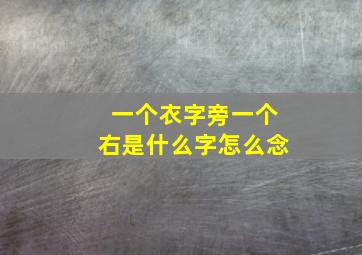 一个衣字旁一个右是什么字怎么念