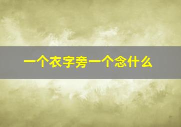 一个衣字旁一个念什么