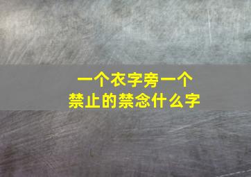 一个衣字旁一个禁止的禁念什么字