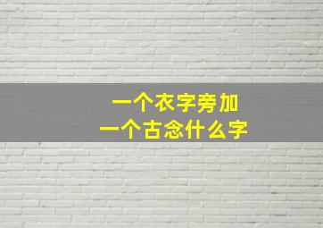 一个衣字旁加一个古念什么字