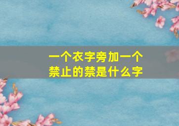 一个衣字旁加一个禁止的禁是什么字