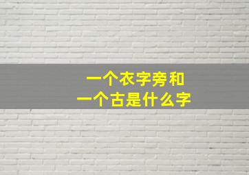 一个衣字旁和一个古是什么字