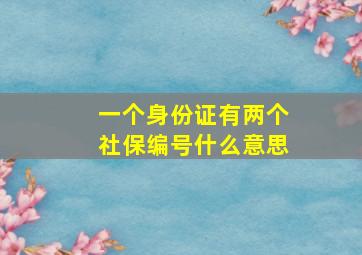 一个身份证有两个社保编号什么意思