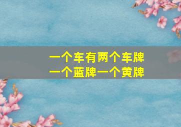 一个车有两个车牌一个蓝牌一个黄牌