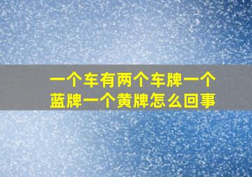 一个车有两个车牌一个蓝牌一个黄牌怎么回事