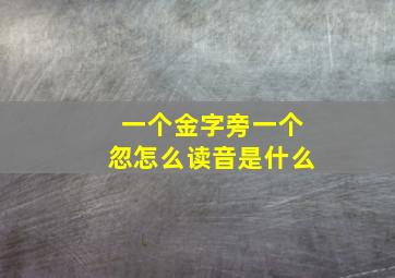 一个金字旁一个忽怎么读音是什么