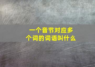 一个音节对应多个词的词语叫什么