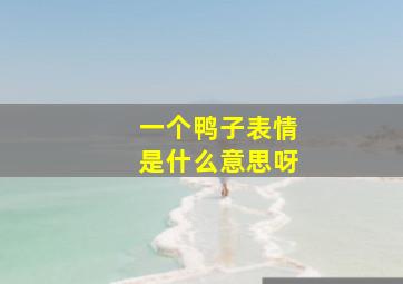 一个鸭子表情是什么意思呀