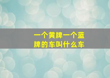 一个黄牌一个蓝牌的车叫什么车