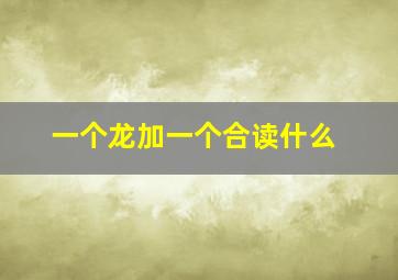 一个龙加一个合读什么