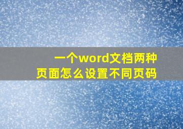 一个word文档两种页面怎么设置不同页码