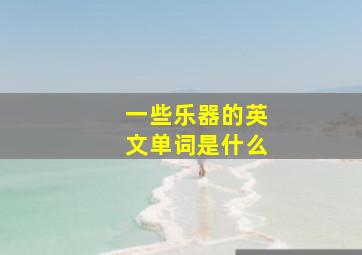 一些乐器的英文单词是什么