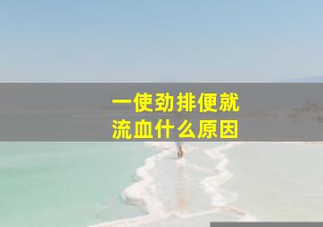 一使劲排便就流血什么原因