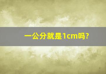 一公分就是1cm吗?