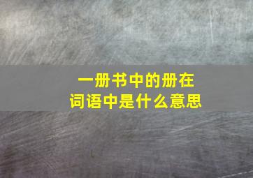 一册书中的册在词语中是什么意思