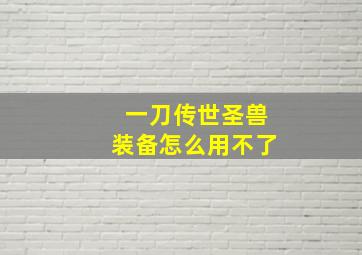 一刀传世圣兽装备怎么用不了