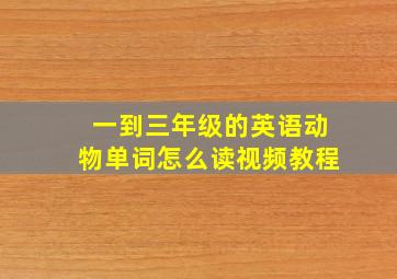 一到三年级的英语动物单词怎么读视频教程