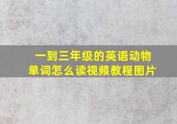 一到三年级的英语动物单词怎么读视频教程图片