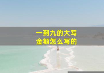 一到九的大写金额怎么写的