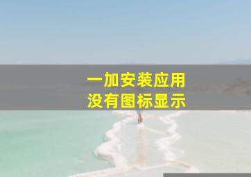 一加安装应用没有图标显示