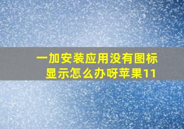 一加安装应用没有图标显示怎么办呀苹果11