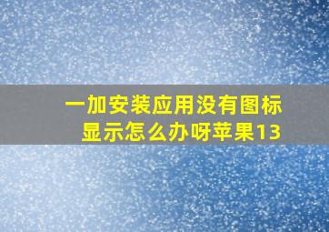 一加安装应用没有图标显示怎么办呀苹果13