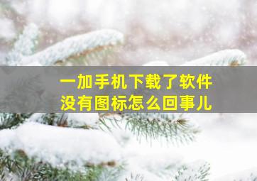 一加手机下载了软件没有图标怎么回事儿