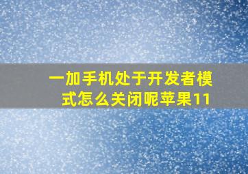 一加手机处于开发者模式怎么关闭呢苹果11