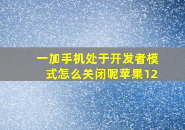 一加手机处于开发者模式怎么关闭呢苹果12