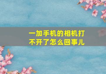 一加手机的相机打不开了怎么回事儿