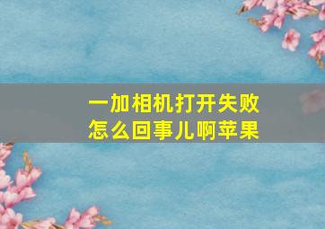 一加相机打开失败怎么回事儿啊苹果