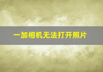 一加相机无法打开照片