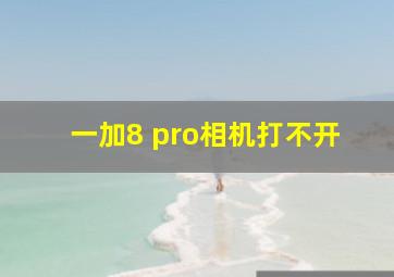 一加8 pro相机打不开