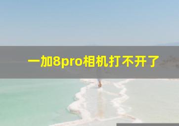 一加8pro相机打不开了